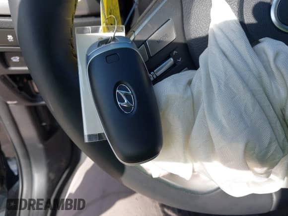 ✅ 2025 Hyundai Palisade Limited • VIN: KM8R54GE7SU847171 • Лот: 41514399. Размещён на IAAI с пробегом 3 959 миль миль. Получите бесплатный доступ к архиву аукционных продаж из США и посмотрите подробный отчёт об истории автомобиля на DreamBid. Изображение 11.