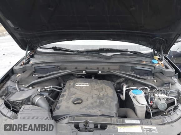 ✅ 2017 Audi Q5 Premium • VIN: WA1C2AFP4HA088651 • Lot: 43552445. Listed on IAAI with Not provided. Free auction sales archive from the USA and detailed vehicle history report at DreamBid. Image 10.