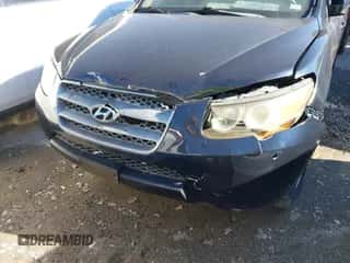 2007 Hyundai Santa Fe GLS with VIN 5NMSG13D67H109033, listed as a IAAI auction lot 40796778 with 166,086 mi miles and . Bid and sale history available at DreamBid. Image 6.