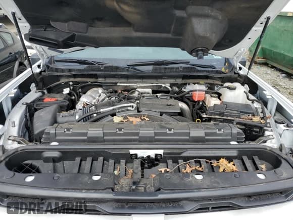 ✅ 2024 Chevrolet Silverado 2500HD Custom • VIN: 1GC4YMEY7RF468334 • Lot: 85898955. Wystawiony na Copart z przebiegiem 4 955 mil. Bezpłatny archiwum sprzedaży aukcyjnych z USA i szczegółowy raport historii pojazdu na DreamBid. Zdjęcie 11.