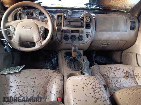 ✅ 2005 Ford Escape XLT • VIN: 1FMYU93165KC92924 • Lot: 46076435. Wystawiony na Copart z przebiegiem Nie podano. Bezpłatny archiwum sprzedaży aukcyjnych z USA i szczegółowy raport historii pojazdu na DreamBid. Zdjęcie 8.