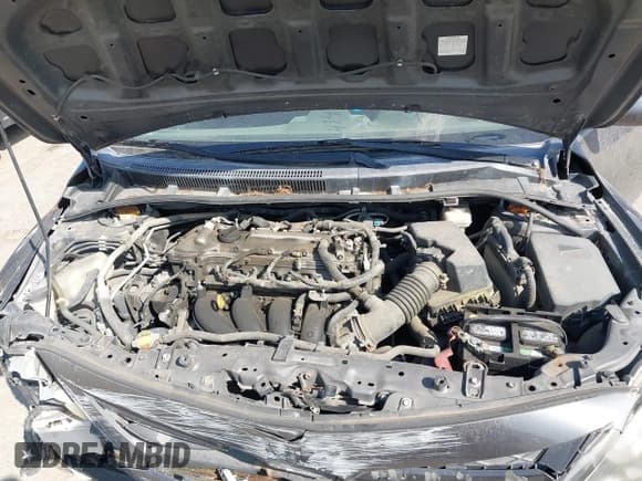 ✅ 2013 Toyota Corolla LE • VIN: 5YFBU4EE1DP220185 • Lot: 43411226. Wystawiony na IAAI z przebiegiem 163 573 mil. Bezpłatny archiwum sprzedaży aukcyjnych z USA i szczegółowy raport historii pojazdu na DreamBid. Zdjęcie 10.