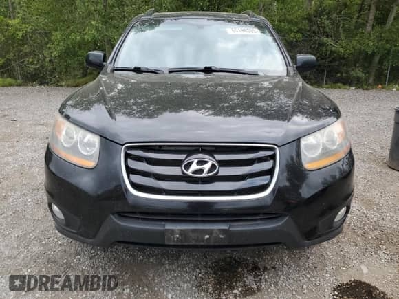 2010 Hyundai Santa Fe GL with VIN 5NMSGDAG4AH339191, listed as a Copart auction lot 65196395 with 176,730 mi miles and Clean title. Bid and sale history available at DreamBid. Image 5.