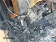 2001 Dodge 1500 with VIN 1B7HC16Y31S310453, listed as a IAAI auction lot 41767410 with Not provided miles and . Bid and sale history available at DreamBid. Image 11.