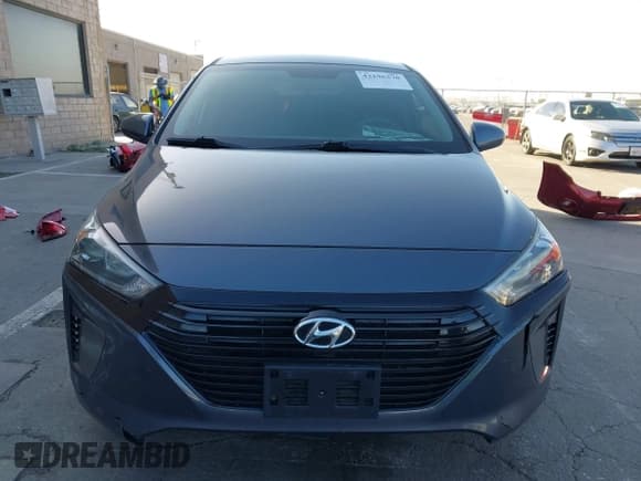 ✅ 2019 Hyundai Ioniq Blue • VIN: KMHC65LC6KU179800 • Lot: 42196370. Wystawiony na IAAI z przebiegiem 160 154 mil. Bezpłatny archiwum sprzedaży aukcyjnych z USA i szczegółowy raport historii pojazdu na DreamBid. Zdjęcie 13.