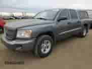 2010 Dodge Dakota SXT с VIN 1D7CW3GP3AS161843, выставлен на аукционе Copart как лот 76721334 с пробегом 308 931 миль миль и Чистый • Clean title. История ставок и продаж доступна на DreamBid. Изображение 1.