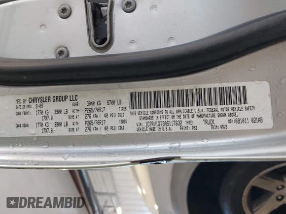 ✅ 2010 Dodge 1500 SLT • VIN: 1D7RV1GT3AS117632 • Lot: 41940483. Wystawiony na IAAI z przebiegiem 310 651 mil. Bezpłatny archiwum sprzedaży aukcyjnych z USA i szczegółowy raport historii pojazdu na DreamBid. Zdjęcie 9.