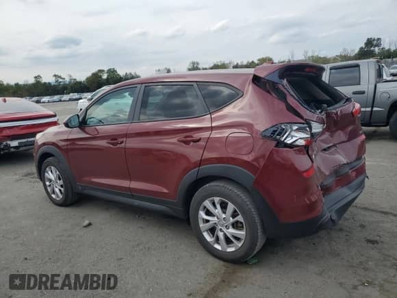 2019 Hyundai Tucson SE with VIN KM8J2CA41KU051855, listed as a Copart auction lot 81731765 with 79,122 mi miles and Salvage title. Bid and sale history available at DreamBid. Image 2.