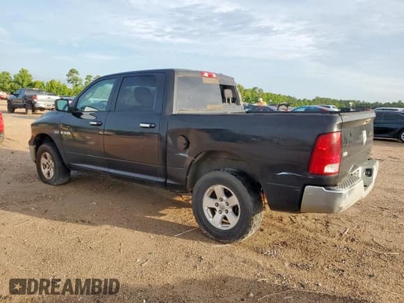 ✅ 2010 Dodge 1500 SLT • VIN: 1D7RB1CT2AS185239 • Lot: 60758705. Wystawiony na Copart z przebiegiem 133 743 mil. Bezpłatny archiwum sprzedaży aukcyjnych z USA i szczegółowy raport historii pojazdu na DreamBid. Zdjęcie 2.