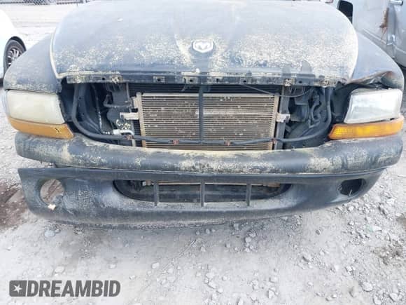 2000 Dodge Dakota with VIN 1B7FL26X1YS582210, listed as a IAAI auction lot 42128674 with 155,889 mi miles and . Bid and sale history available at DreamBid. Image 6.