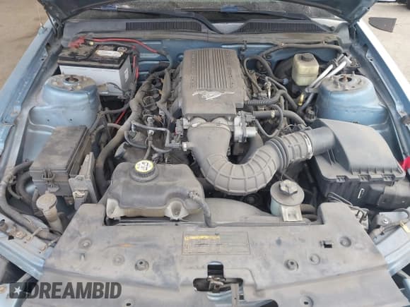 ✅ 2008 Ford Mustang GT Deluxe • VIN: 1ZVHT82H785132857 • Lot: 43208213. Listed on IAAI with 143,146 mi. Free auction sales archive from the USA and detailed vehicle history report at DreamBid. Image 10.