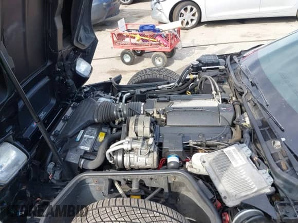 ✅ 1995 Chevrolet Corvette • VIN: 1G1YY32P3S5103855 • Lot: 41853193. Wystawiony na IAAI z przebiegiem 71 926 mil. Bezpłatny archiwum sprzedaży aukcyjnych z USA i szczegółowy raport historii pojazdu na DreamBid. Zdjęcie 10.