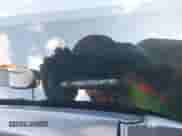 2020 Honda Accord EX-L with VIN 1HGCV1F5XLA017363, listed as a IAAI auction lot 43313566 with 20,960 mi miles and . Bid and sale history available at DreamBid. Image 9.