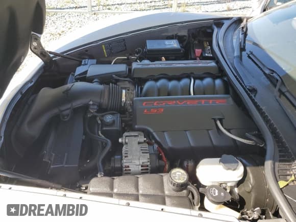 ✅ 2009 Chevrolet Corvette 3LT • VIN: 1G1YY26W695102866 • Lot: 77631814. Listed on Copart with 159,922 mi. Free auction sales archive from the USA and detailed vehicle history report at DreamBid. Image 11.