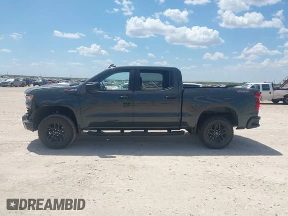 ✅ 2025 Chevrolet Silverado 1500 LT Trail Boss • VIN: 3GCUKFE87SG162686 • Lot: 43103112. Wystawiony na IAAI z przebiegiem 4 269 mil. Bezpłatny archiwum sprzedaży aukcyjnych z USA i szczegółowy raport historii pojazdu na DreamBid. Zdjęcie 13.
