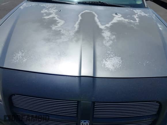 2005 Dodge Magnum SE с VIN 2D4FV48V95H123675, выставлен на аукционе IAAI как лот 42303195 с пробегом Не указан миль и . История ставок и продаж доступна на DreamBid. Изображение 10.