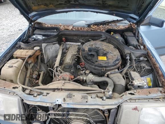 ✅ 1987 Mercedes-Benz 260 • VIN: WDBEA26D3HA496232 • Lot: 67275325. Wystawiony na Copart z przebiegiem 140 139 mil. Bezpłatny archiwum sprzedaży aukcyjnych z USA i szczegółowy raport historii pojazdu na DreamBid. Zdjęcie 11.