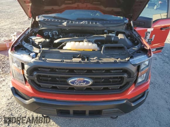 ✅ 2023 Ford F-150 • VIN: 1FTFW1P85PKD82406 • Lot: 49188565. Wystawiony na Copart z przebiegiem 32 982 mil. Bezpłatny archiwum sprzedaży aukcyjnych z USA i szczegółowy raport historii pojazdu na DreamBid. Zdjęcie 11.