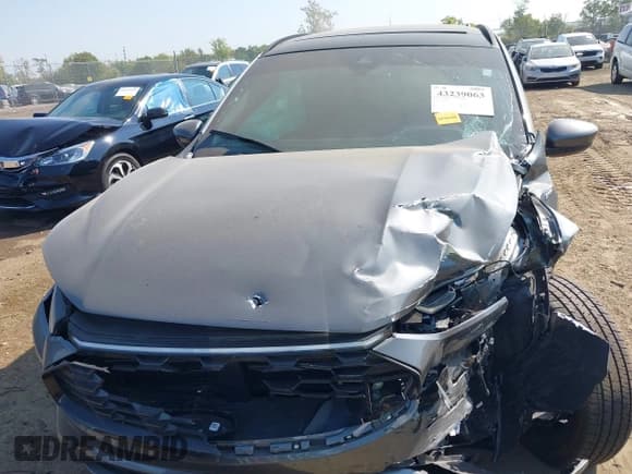 ✅ 2025 Ford Escape ST-Line Elite • VIN: 1FMCU9PA4SUA26550 • Lot: 43239063. Listed on IAAI with 3,600 mi. Free auction sales archive from the USA and detailed vehicle history report at DreamBid. Image 12.