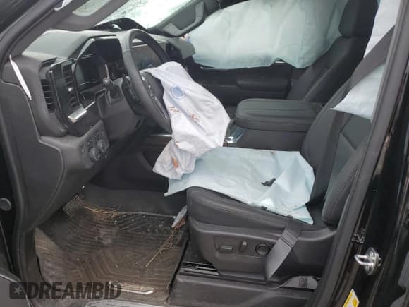 ✅ 2024 Chevrolet Silverado 1500 LT Trail Boss • VIN: 3GCUDFE85RG196534 • Lot: 89503895. Wystawiony na Copart z przebiegiem Nie podano. Bezpłatny archiwum sprzedaży aukcyjnych z USA i szczegółowy raport historii pojazdu na DreamBid. Zdjęcie 7.