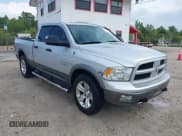✅ 2010 Dodge 1500 SLT • VIN: 1D7RB1GT6AS112613 • Lot: 41641379. Wystawiony na IAAI z przebiegiem 339 601 mil. Bezpłatny archiwum sprzedaży aukcyjnych z USA i szczegółowy raport historii pojazdu na DreamBid. Zdjęcie 1.