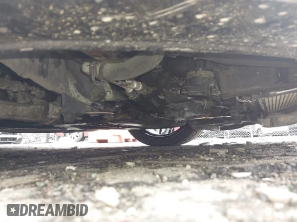 ✅ 2019 Audi RS 5 • VIN: WUAPWAF52KA903871 • Lot: 42513929. Listed on IAAI with 70,250 mi. Free auction sales archive from the USA and detailed vehicle history report at DreamBid. Image 6.