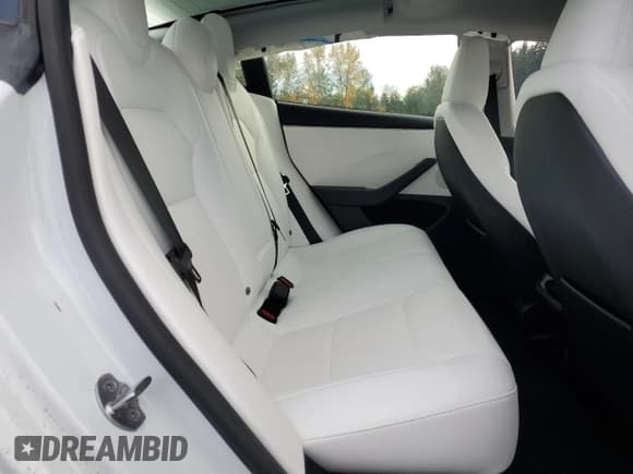 ✅ 2025 Tesla Model 3 Long Range • VIN: 5YJ3E1EB1SF901445 • Lot: 91047155. Wystawiony na Copart z przebiegiem 8 079 mil. Bezpłatny archiwum sprzedaży aukcyjnych z USA i szczegółowy raport historii pojazdu na DreamBid. Zdjęcie 10.