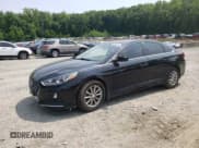 ✅ 2019 Hyundai Sonata SE • VIN: 5NPE24AFXKH795753 • Лот: 52255473. Опубликован ранее на Copart с пробегом 55 400 миль. Бесплатный доступ к архиву аукционных продаж из США и подробный отчёт об истории автомобиля на DreamBid. Изображение 1.