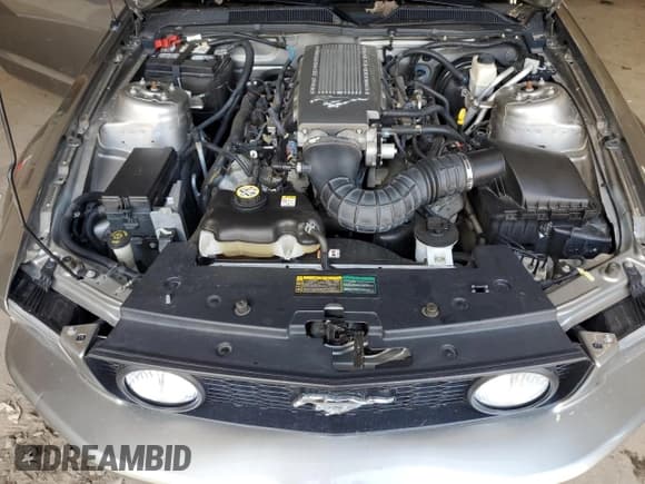 ✅ 2009 Ford Mustang GT • VIN: 1ZVHT85H095126959 • Lot: 63859165. Wystawiony na Copart z przebiegiem 80 520 mil. Bezpłatny archiwum sprzedaży aukcyjnych z USA i szczegółowy raport historii pojazdu na DreamBid. Zdjęcie 11.