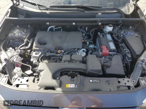 ✅ 2024 Toyota RAV4 XLE Premium • VIN: 2T3C1RFV1RW304545 • Лот: 89537725. Опубликован ранее на Copart с пробегом 7 012 миль. Бесплатный доступ к архиву аукционных продаж из США и подробный отчёт об истории автомобиля на DreamBid. Изображение 12.