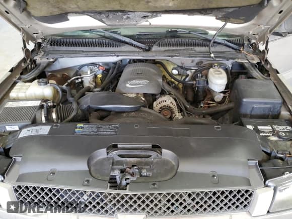 ✅ 2004 Chevrolet Silverado 1500 LS • VIN: 2GCEK13T941302313 • Lot: 43165525. Wystawiony na Copart z przebiegiem 185 885 mil. Bezpłatny archiwum sprzedaży aukcyjnych z USA i szczegółowy raport historii pojazdu na DreamBid. Zdjęcie 11.