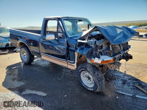 ✅ 1995 Ford F-150 • VIN: 1FTDF15Y1SNB66926 • Lot: 87279855. Wystawiony na Copart z przebiegiem Nie podano. Bezpłatny archiwum sprzedaży aukcyjnych z USA i szczegółowy raport historii pojazdu na DreamBid. Zdjęcie 4.