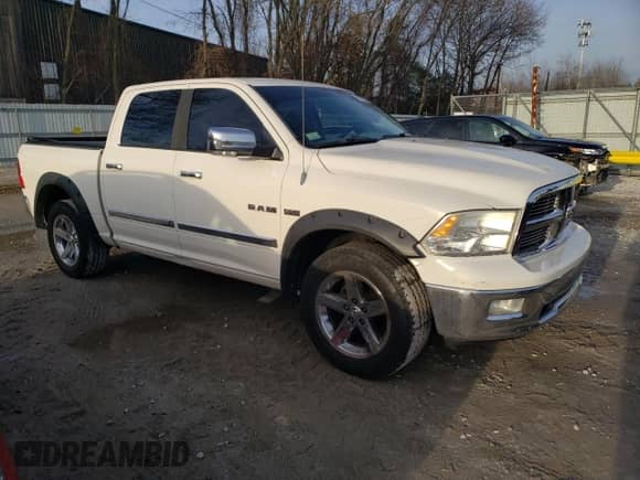 2009 Dodge 1500 SLT с VIN 1D3HV13T09S770840, выставлен на аукционе Copart как лот 85187734 с пробегом 210 503 миль миль и Чистый • Clean title. История ставок и продаж доступна на DreamBid. Изображение 4.