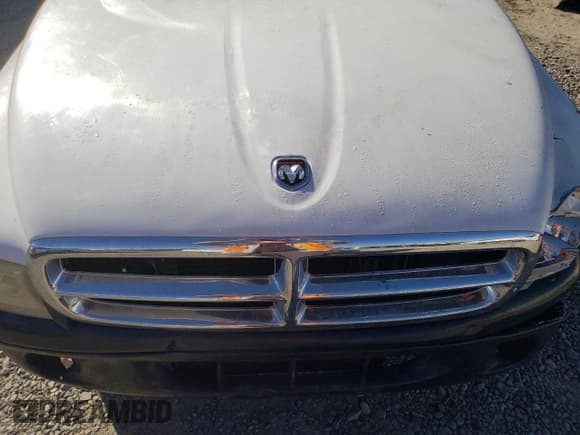 ✅ 1999 Dodge Dakota SLT • VIN: 1B7GG22Y6XS119274 • Lot: 46947005. Wystawiony na Copart z przebiegiem 264 537 mil. Bezpłatny archiwum sprzedaży aukcyjnych z USA i szczegółowy raport historii pojazdu na DreamBid. Zdjęcie 11.