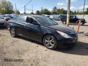 ✅ 2011 Hyundai Sonata GLS • VIN: 5NPEB4AC3BH042670 • Lot: 75242814. Listed on Copart with Not provided. Free auction sales archive from the USA and detailed vehicle history report at DreamBid. Image 4.