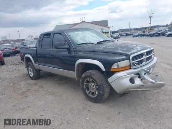 ✅ 2004 Dodge Dakota SLT • VIN: 1D7HG48N14S503851 • Lot: 41883437. Wystawiony na IAAI z przebiegiem 225 505 mil. Bezpłatny archiwum sprzedaży aukcyjnych z USA i szczegółowy raport historii pojazdu na DreamBid. Zdjęcie 6.