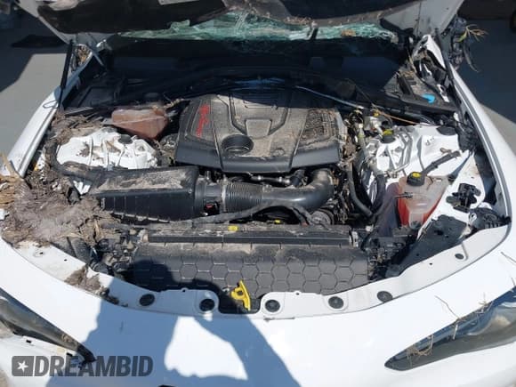 ✅ 2020 Alfa Romeo Giulia • VIN: ZARFAMANXL7631929 • Lot: 43523450. Listed on IAAI with Not provided. Free auction sales archive from the USA and detailed vehicle history report at DreamBid. Image 10.