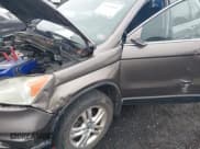 ✅ 2010 Honda CR-V EX-L • VIN: 5J6RE3H73AL044466 • Lot: 39001560. Listed on IAAI with 156,804 mi. Free auction sales archive from the USA and detailed vehicle history report at DreamBid. Image 6.