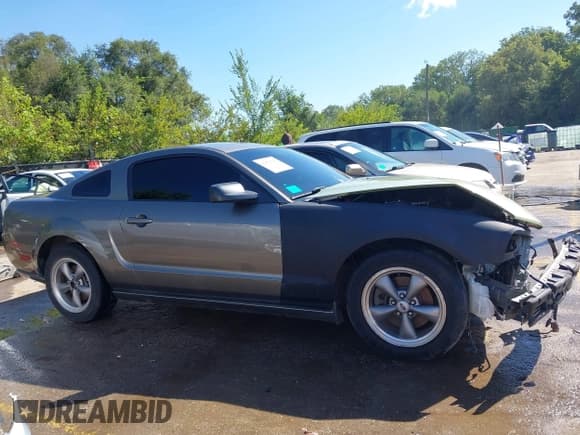 ✅ 2005 Ford Mustang GT Deluxe • VIN: 1ZVFT82H155251166 • Лот: 43075681. Опубликован ранее на IAAI с пробегом 166 319 миль. Бесплатный доступ к архиву аукционных продаж из США и подробный отчёт об истории автомобиля на DreamBid. Изображение 12.