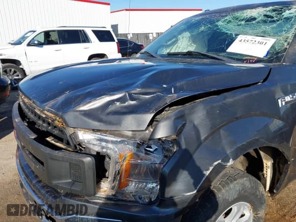 ✅ 2018 Ford F-150 XL • VIN: 1FTMF1CPXJKF73993 • Lot: 43572301. Wystawiony na IAAI z przebiegiem 91 316 mil. Bezpłatny archiwum sprzedaży aukcyjnych z USA i szczegółowy raport historii pojazdu na DreamBid. Zdjęcie 6.