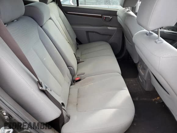 ✅ 2010 Hyundai Santa Fe GLS • VIN: 5NMSG3AB9AH346295 • Lot: 91244985. Wystawiony na Copart z przebiegiem 175 812 mil. Bezpłatny archiwum sprzedaży aukcyjnych z USA i szczegółowy raport historii pojazdu na DreamBid. Zdjęcie 10.