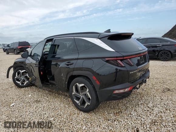 ✅ 2024 Hyundai Tucson Limited • VIN: 5NMJE3DE1RH311205 • Lot: 55331264. Wystawiony na Copart z przebiegiem 4 807 mil. Bezpłatny archiwum sprzedaży aukcyjnych z USA i szczegółowy raport historii pojazdu na DreamBid. Zdjęcie 2.