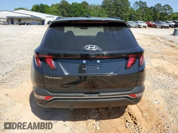 2024 Hyundai Tucson SEL с VIN 5NMJB3DE3RH402159, выставлен на аукционе Copart как лот 53196335 с пробегом 56 924 миль миль и Списание • Salvage title. История ставок и продаж доступна на DreamBid. Изображение 6.