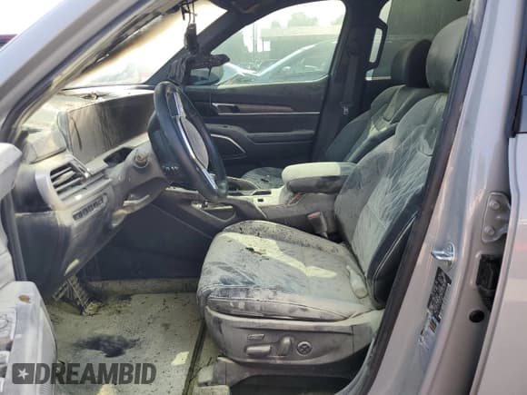 ✅ 2025 Kia Telluride SX X-Line • VIN: 5XYP5DGC3SG568800 • Lot: 57134715. Wystawiony na Copart z przebiegiem Nie podano. Bezpłatny archiwum sprzedaży aukcyjnych z USA i szczegółowy raport historii pojazdu na DreamBid. Zdjęcie 7.