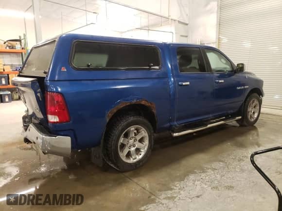 2010 Dodge 1500 Laramie with VIN 1D7RV1CT6AS107862, listed as a Copart auction lot 73393124 with 230,693 mi miles and Salvage title. Bid and sale history available at DreamBid. Image 3.