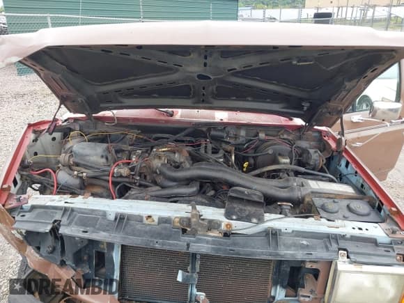 ✅ 1989 Ford F-250 • VIN: 1FTHF26HXKNB25295 • Lot: 43047343. Listed on IAAI with Not provided. Free auction sales archive from the USA and detailed vehicle history report at DreamBid. Image 10.