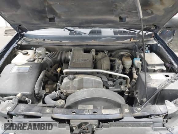 2008 Chevrolet TrailBlazer Fleet 2FL с VIN 1GNDT13S382166869, выставлен на аукционе IAAI как лот 43363281 с пробегом 176 905 миль миль и . История ставок и продаж доступна на DreamBid. Изображение 10.