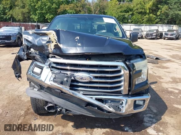 ✅ 2015 Ford F-150 XLT • VIN: 1FTEX1CP7FKD95145 • Lot: 43252019. Wystawiony na IAAI z przebiegiem 196 933 mil. Bezpłatny archiwum sprzedaży aukcyjnych z USA i szczegółowy raport historii pojazdu na DreamBid. Zdjęcie 13.