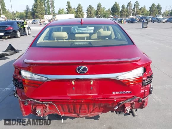 ✅ 2018 Lexus ES 300h • VIN: JTHBW1GG5J2193461 • Lot: 42370795. Listed on IAAI with 85,658 mi. Free auction sales archive from the USA and detailed vehicle history report at DreamBid. Image 17.