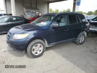 ✅ 2009 Hyundai Santa Fe GLS • VIN: 5NMSG13D89H254867 • Lot: 67536614. Listed on Copart with 197,583 mi. Free auction sales archive from the USA and detailed vehicle history report at DreamBid. Image 1.